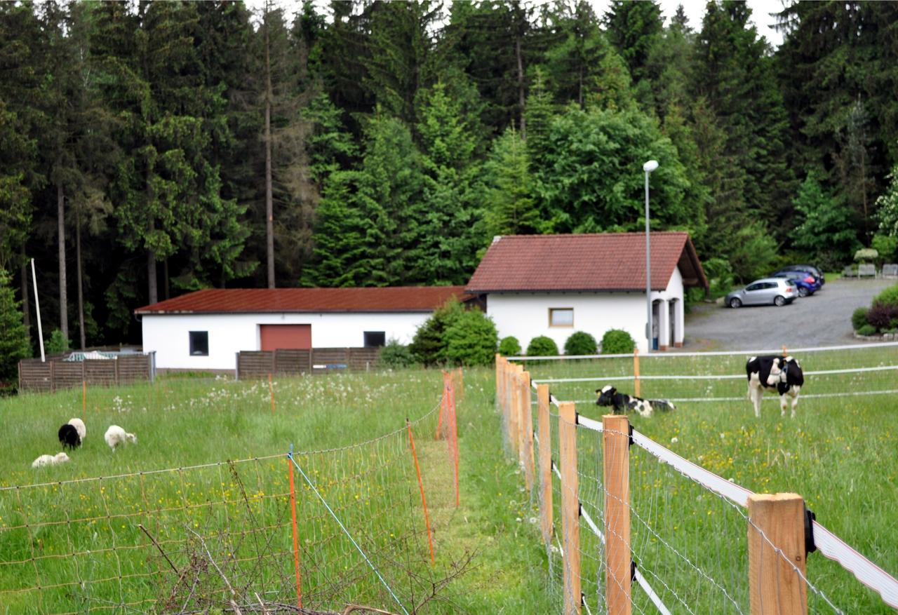 Ferienhaus Mueller ヴァルメンシュタイナハ エクステリア 写真